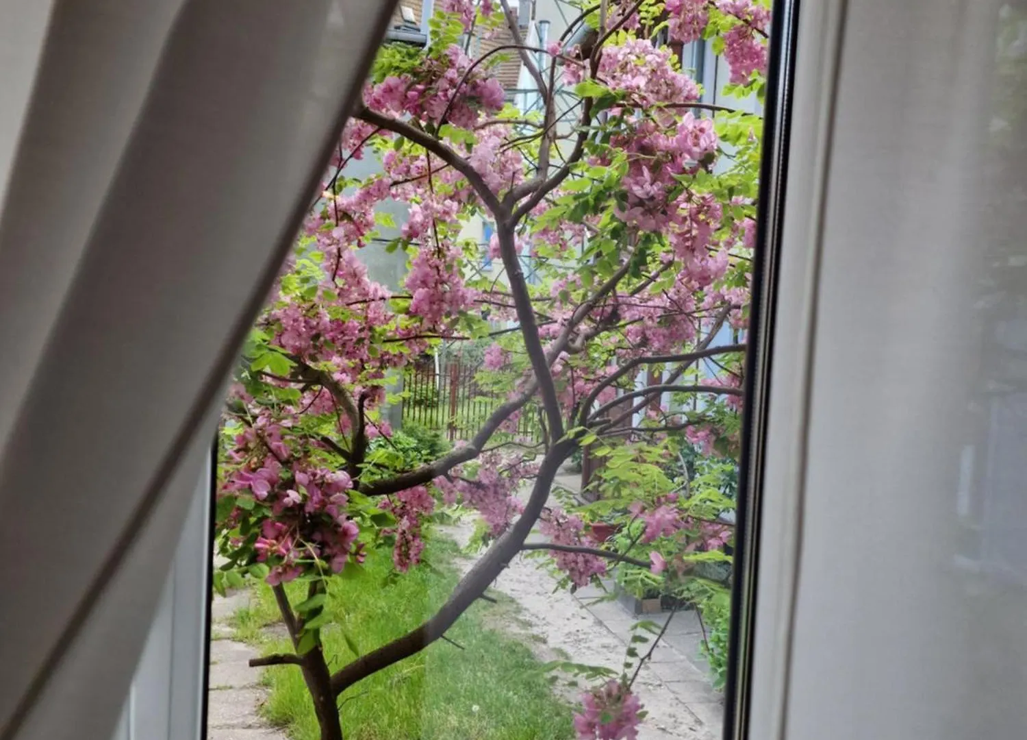 Appartamento Apartament Cassino Sopot Polonia