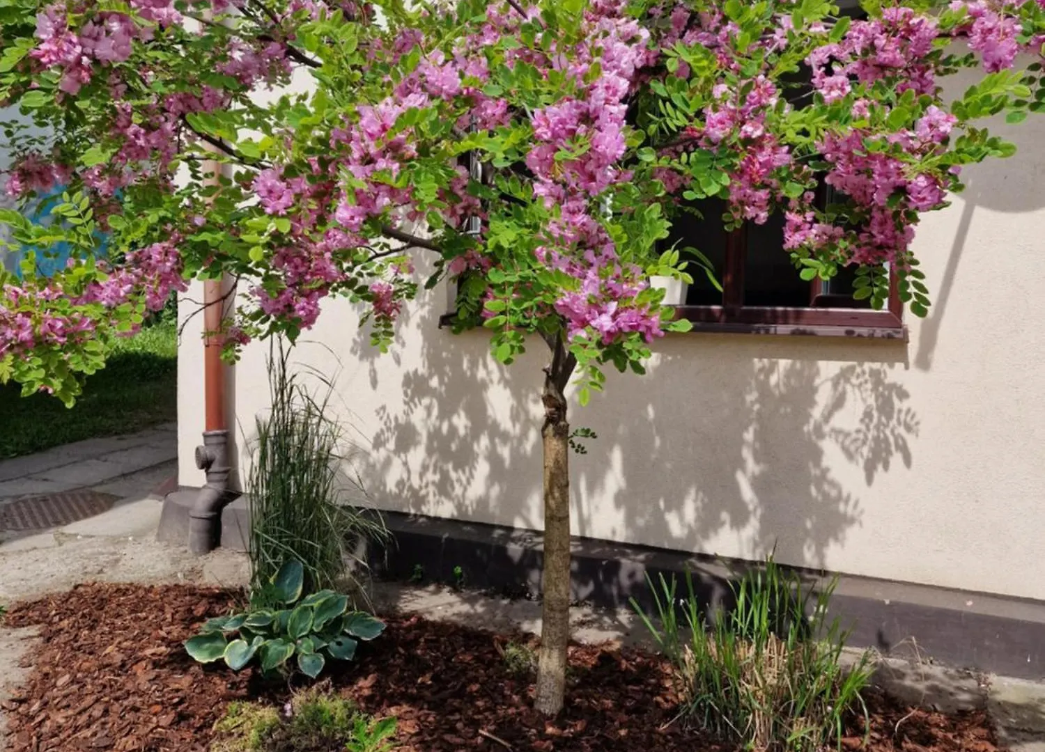 Apartament Cassino Apartment Sopot